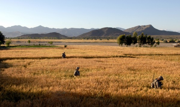 Wheat fields, Khowst Province, Afghanistan.