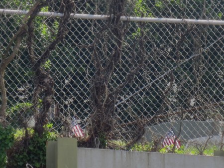 Veterans' tombstones, Towson, Maryland.